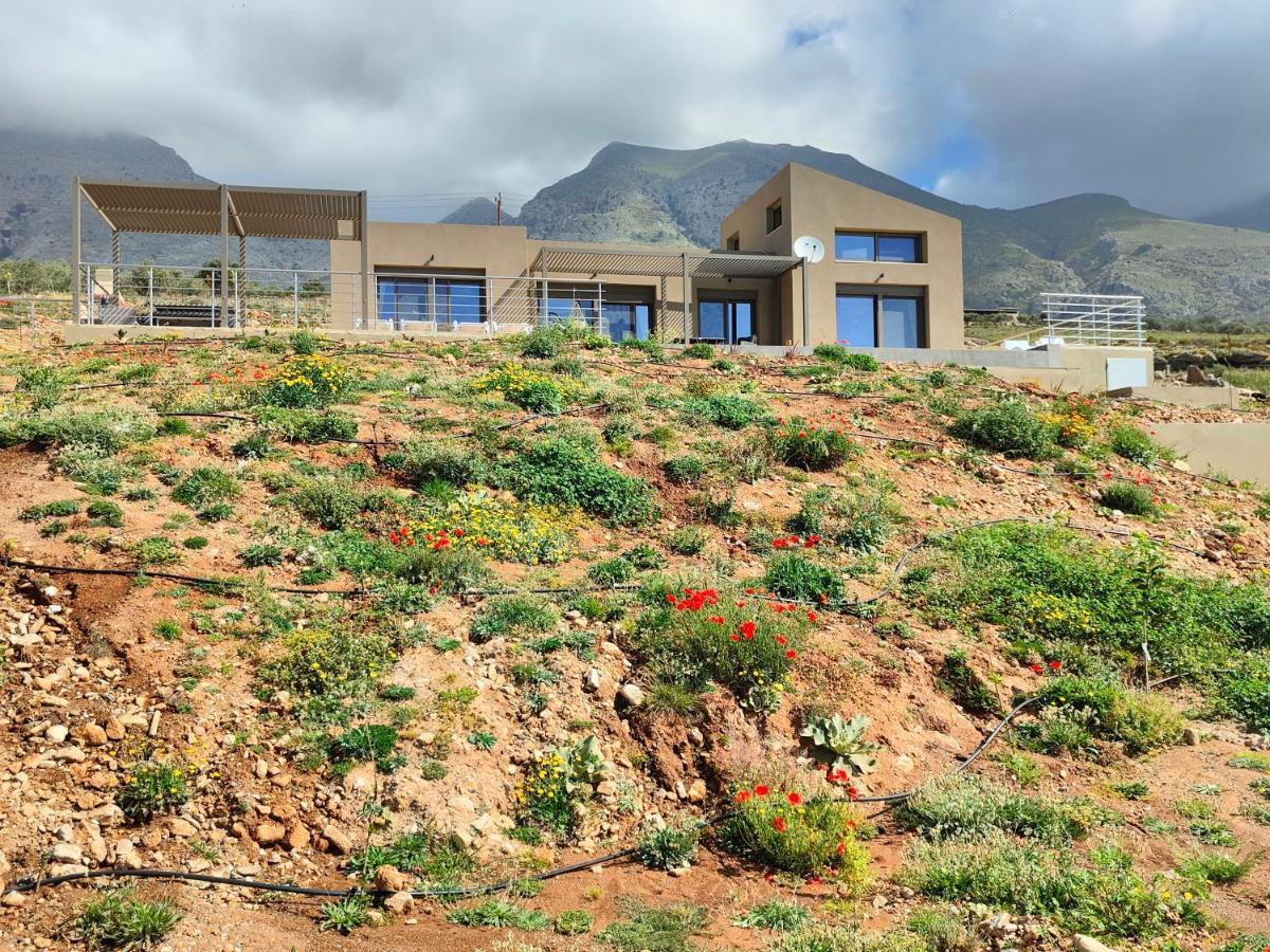 Olive And Aloe Villas Nomikianá Dış mekan fotoğraf